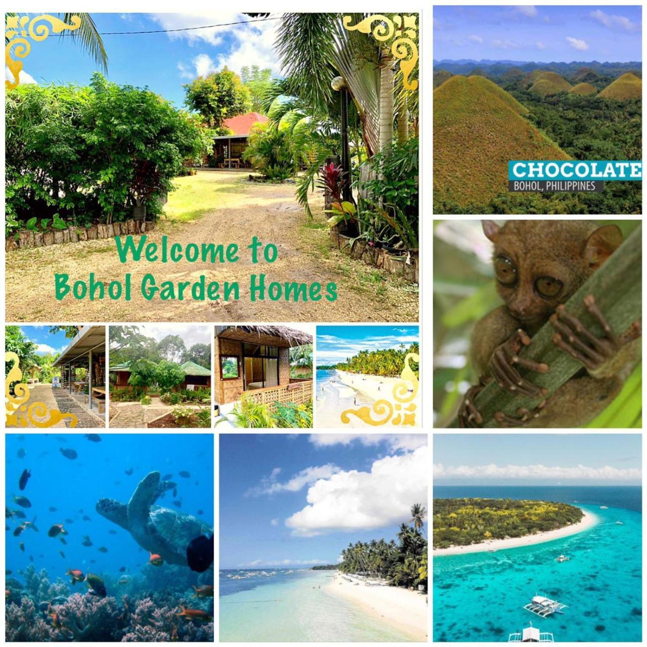 House @Bohol Garden Homes Panglao Dış mekan fotoğraf