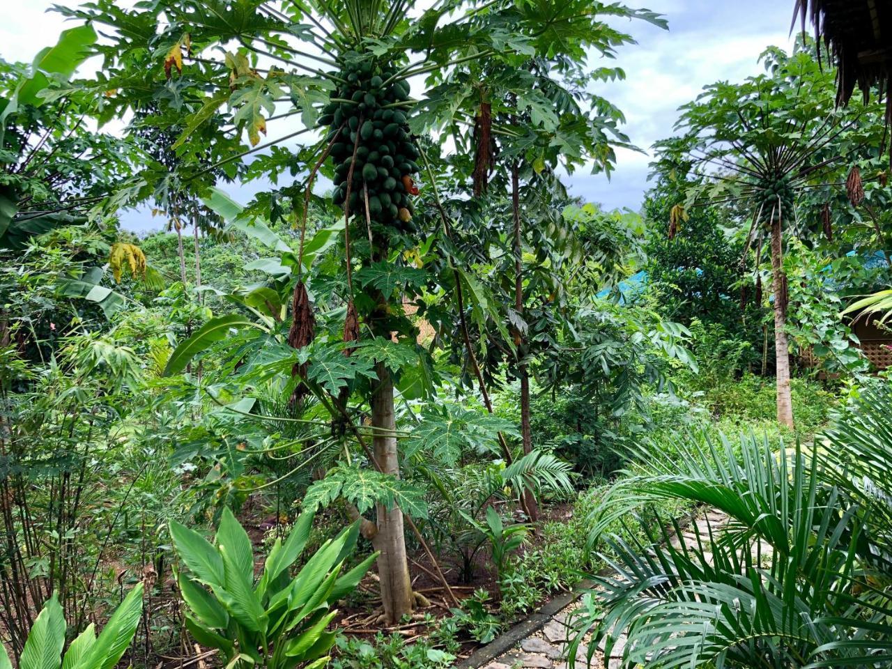House @Bohol Garden Homes Panglao Dış mekan fotoğraf