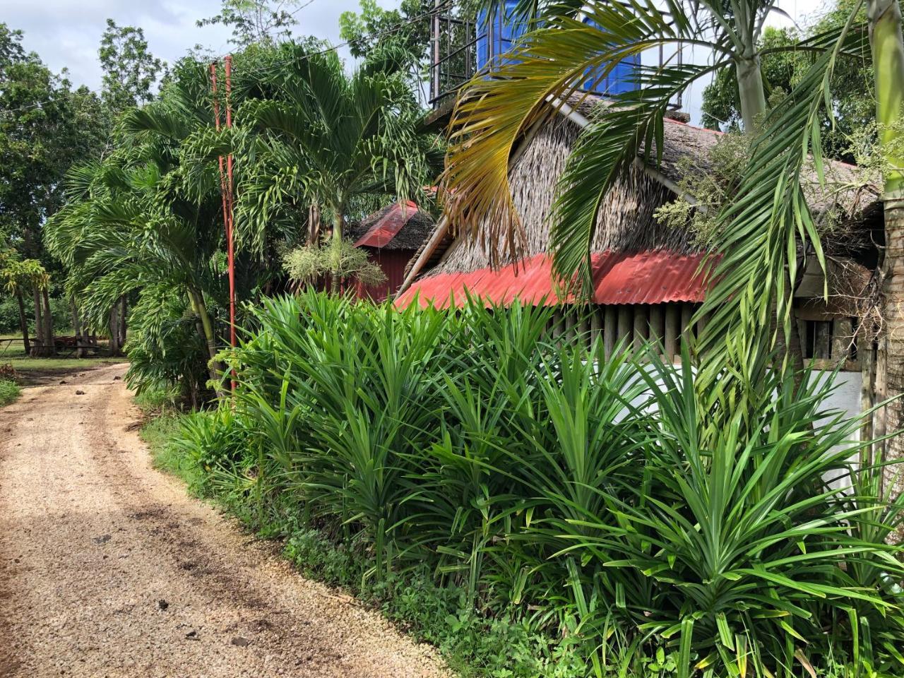 House @Bohol Garden Homes Panglao Dış mekan fotoğraf